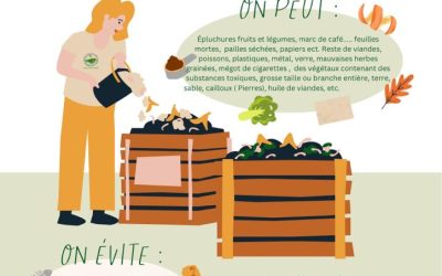 Quoi Mettre dans le Compost et Quoi Éviter