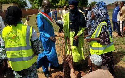 🌳 Fête nationale de l’arbre 2025 au Niger : actions du RJNCC pour le climat à Maradi et Tahoua