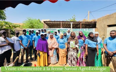 À la découverte de l’agroécologie : immersion à la ferme Savoir Agroécologie avec le RJNCC Niger”